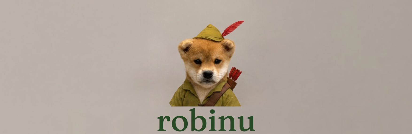 Robinu banner